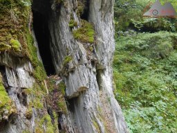 Sommerurlaub 2015 0802